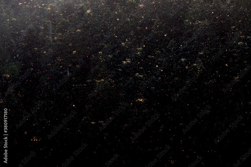 Obraz premium Die Mücken sind los!!!