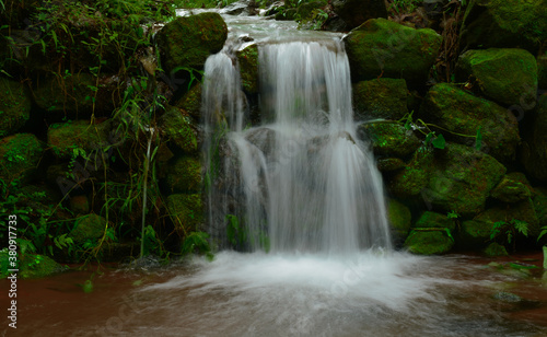 Fototapeta Naklejka Na Ścianę i Meble -  waterfall in the forest stream