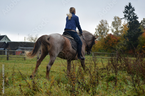 person riding a horse.Horse gallop.