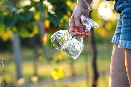 Принти на полотні Wineglass in female hand at vineyard