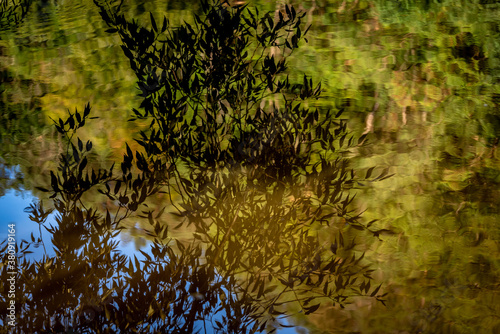 colorful leaves rippling and reflecting on the river surface