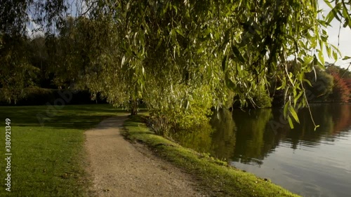 Slow stedycam behind vine tree with a backdrop of beautiful placid lake bathing in warm sunlight, 50FPS photo