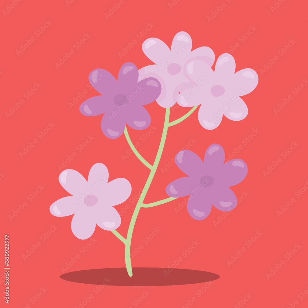 PLANTS-FLOWER PINK VIOLET