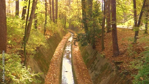 Canal river in green forest with autumn leaves in Bankya Bulgaria photo