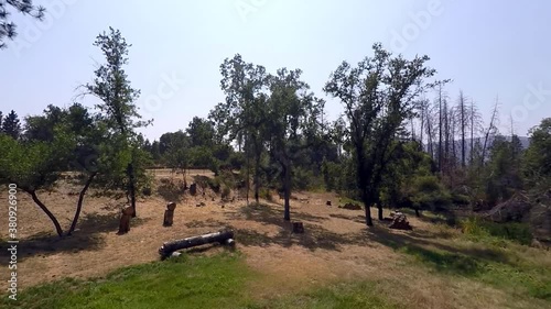 looking accros grass and trees on a California summer day photo