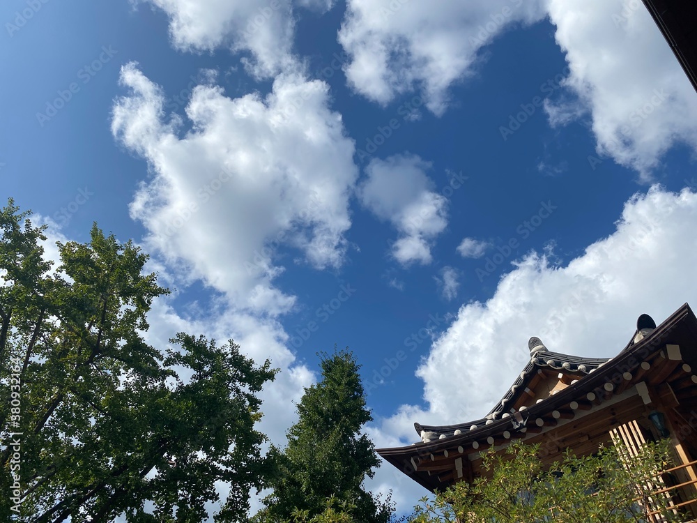 Fototapeta premium pavilion in the park