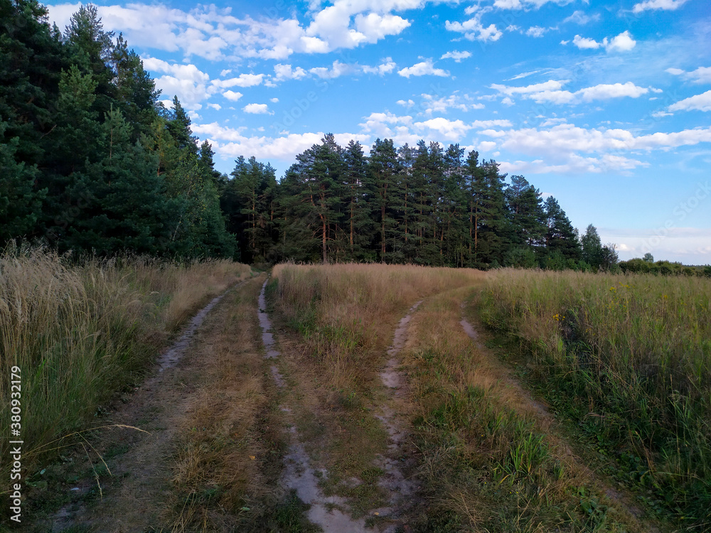 Fork of two roads. The road from the field to the pine forest. And the road to the field. Blue sky with white clouds. Beautiful postcard. Background.