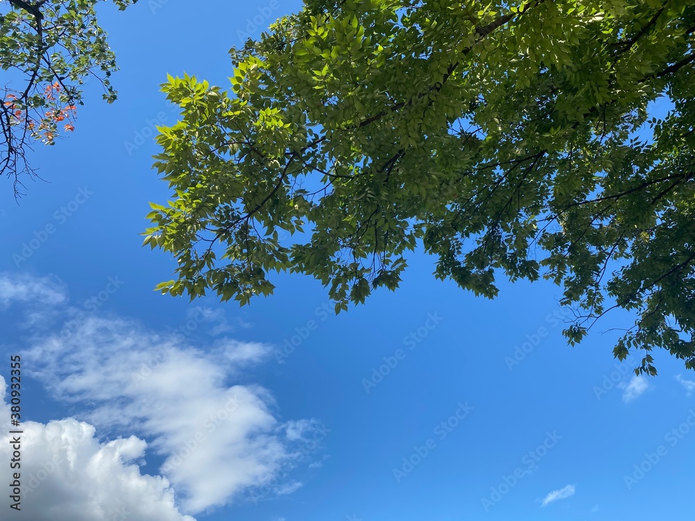 Obraz premium sky and clouds