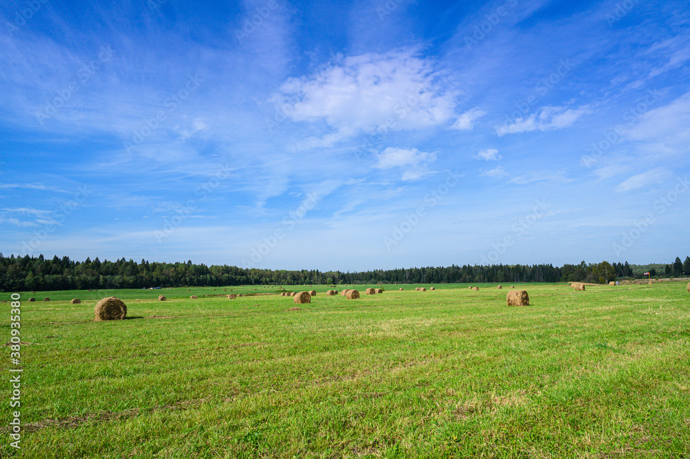 green field with haystacks under blue clear sky in sunny weather in russian countryside green field with haystacks under blue clear sky in sunny weather in russian countryside