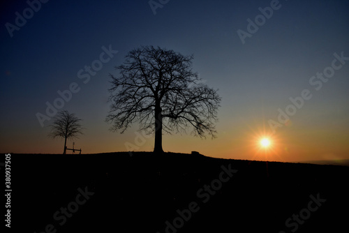 Die Silhouette eines Lindenbaumes während eines Sonneaufgangs. Fotografiert an der Reuther Linde bei Reuth/Sachsen/Vogtland/Deutschland. Datum: 09.04.20. Foto: Christian Schubert