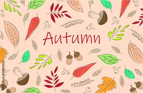 Autumn illustration. Acorns, mushrooms, autumn leaves. Orange themed autumn illustration. Autumn vector colored pattern. Autumn forest.