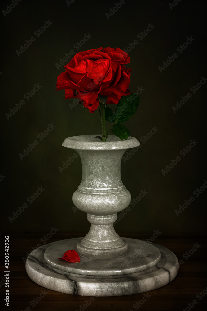 Fototapeta premium Red rose in a white marble vase. Minimalism. Still life.