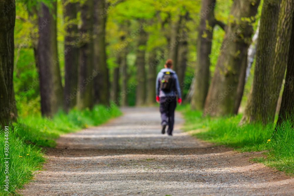 Single woman is hiking trough old deciduous forest, Thuringia, Germany