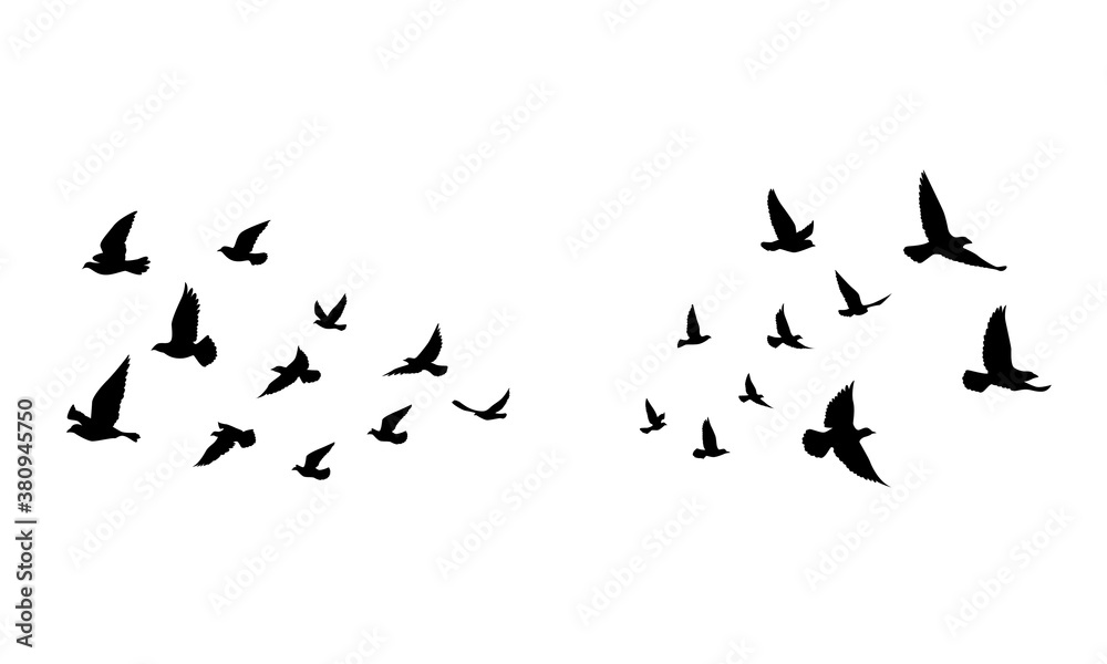 Flying birds silhouettes on isolated background. Vector illustration.  isolated bird flying. tattoo and wallpaper background design. Stock Vector  | Adobe Stock