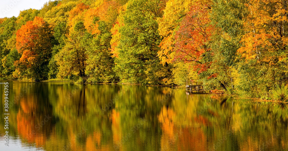 Fototapeta premium Beautiful morning landscape in an autumn park with picturesque trees by the lake