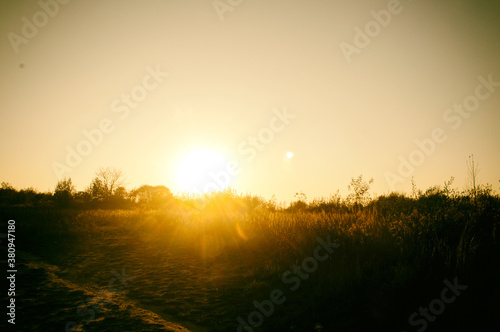 sunset in the field