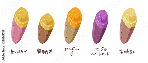いろいろな種類の焼き芋のイラスト