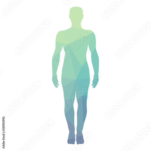abstract geometrical pattern inside human body, vector