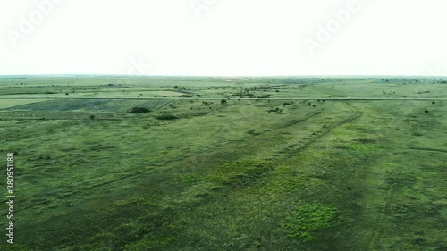 Meadow pasture green field aerial view
