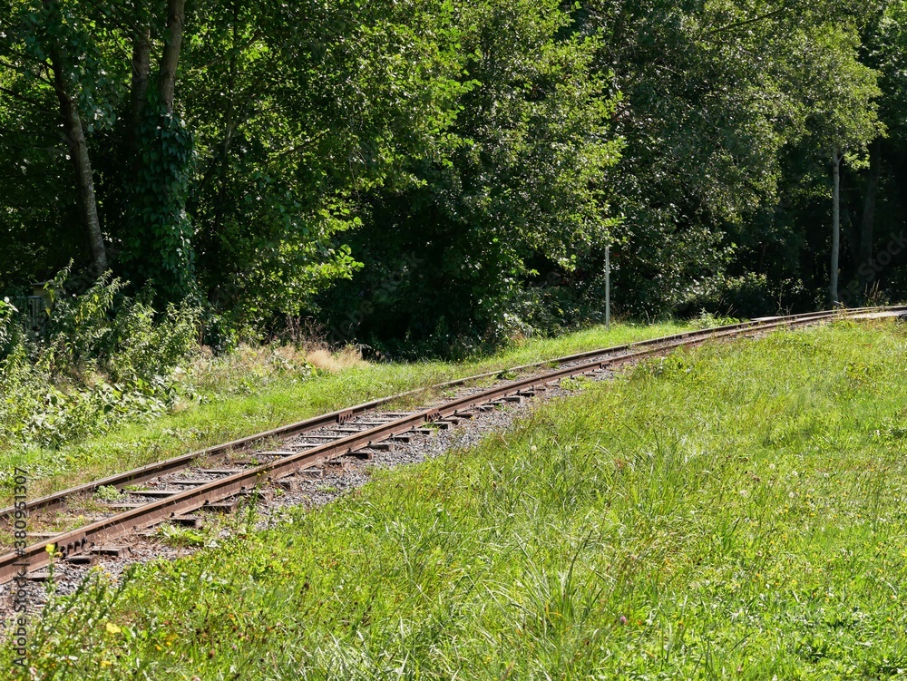 Fototapeta premium Rail de chemin de fer du train touristique d'Abreschviller en Moselle. France