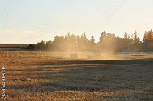 Harvest time at sunset  © ankihoglund
