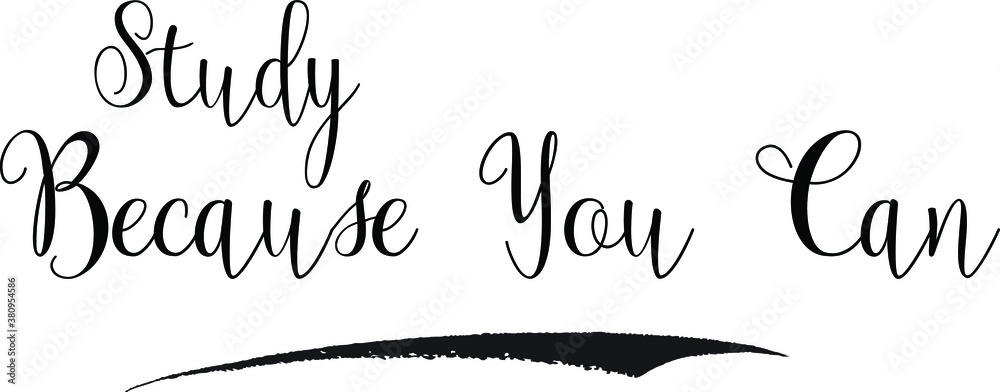 Study Because You Can Calligraphy White Color Text On Black Background Study Because You Can Calligraphy White Color Text On Black Background