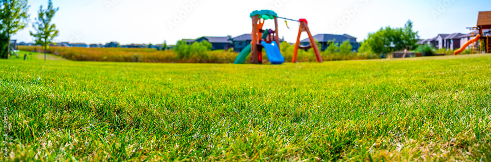 panoramic ground level view of a suburb residential backyard panoramic ground level view of a suburb residential backyard