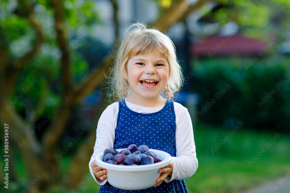 Cute little toddler girl picking ripe plums from tree in garden. Happy child holding fresh fruits. Healthy organic fruit, summer harvest season. Kid learning healthy food. Cute little toddler girl picking ripe plums from tree in garden. Happy child holding fresh fruits. Healthy organic fruit, summer harvest season. Kid learning healthy food.