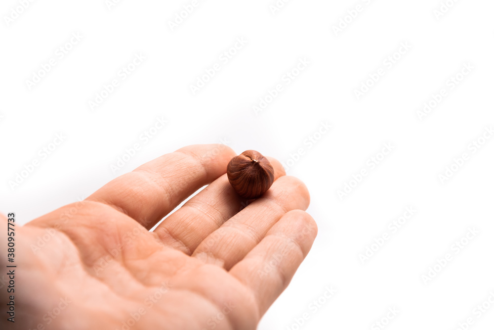 Hazelnut in man's hand on white isolated background macro photo