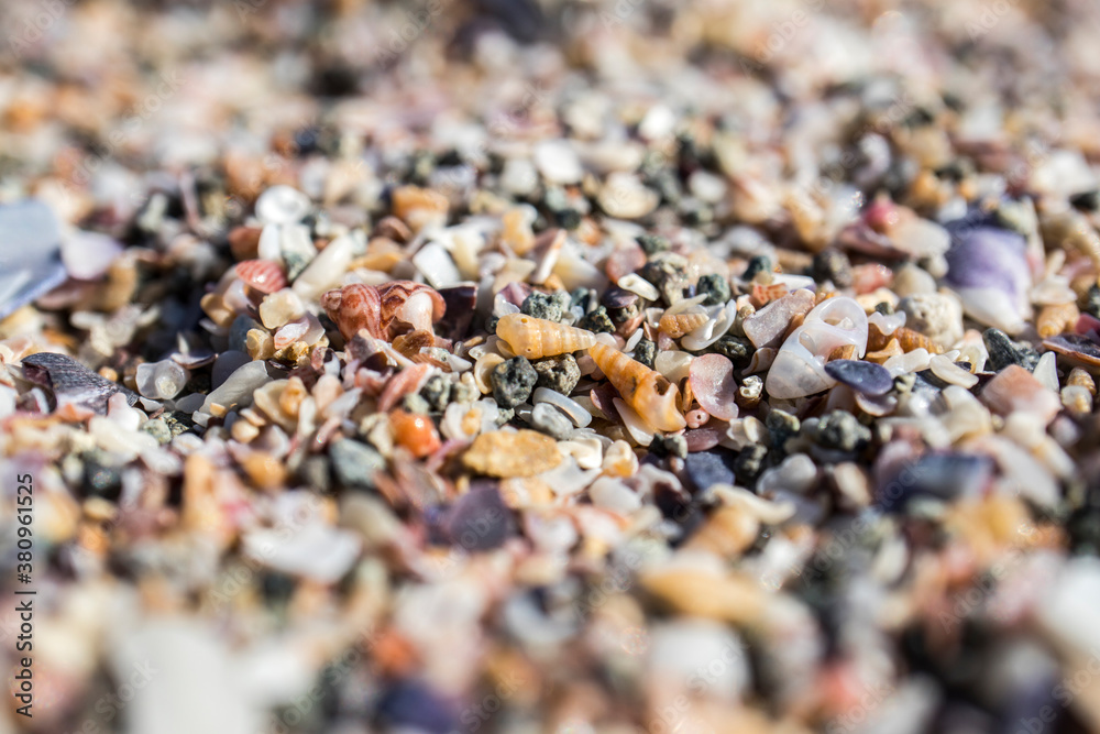 Small sea pebbles and shells in close-up. Natural background. Small sea pebbles and shells in close-up. Natural background.