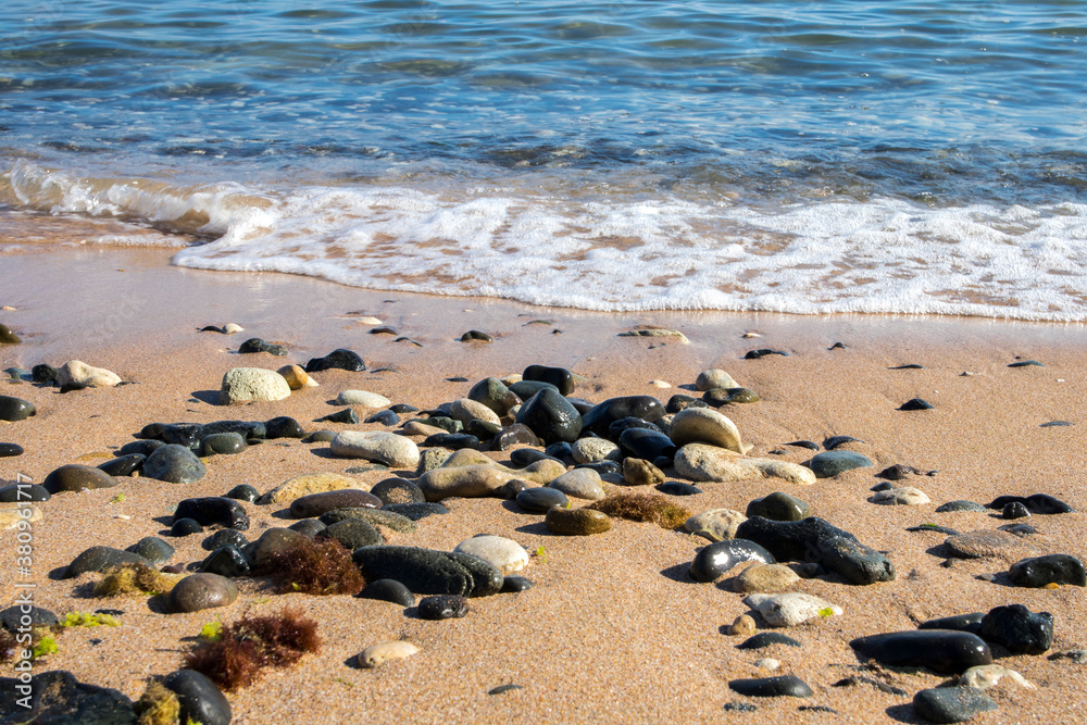 Obraz premium Beach in the sea with a few black stones and algae. Closeup.