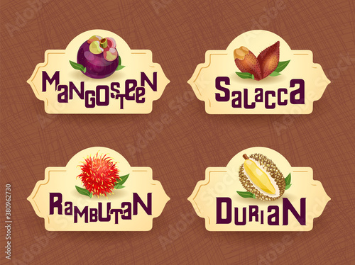 Vector logo for exotic thai fruits, fruits from thailand, packaging sticker, decorative badge with thai fruits illustration. Mangosteen, salacca, rambutan, durian. Vector illustration