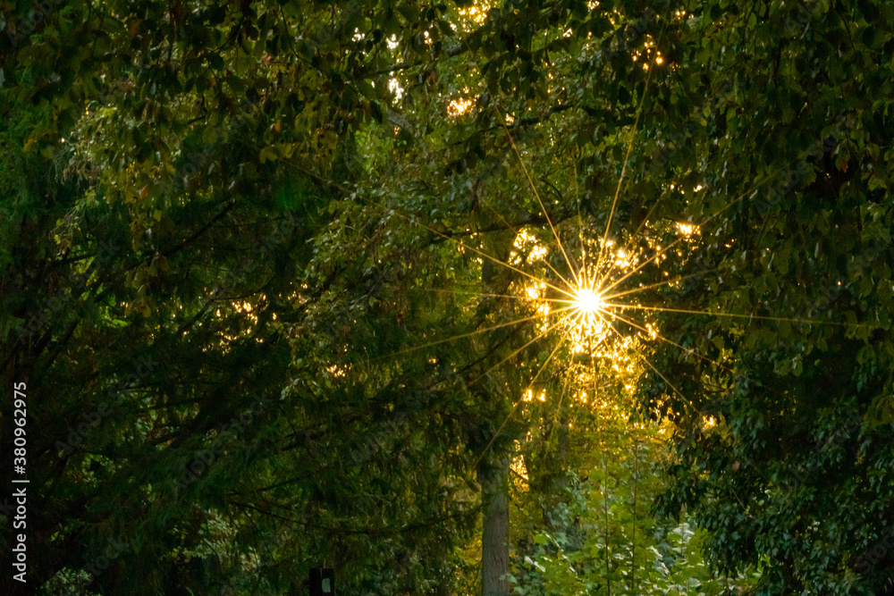 Beautiful rays of sunlight through colorful leafs in the early morning make the beginning of the day a happy day with the relaxing atmosphere of autumn and fall in urban parks Beautiful rays of sunlight through colorful leafs in the early morning make the beginning of the day a happy day with the relaxing atmosphere of autumn and fall in urban parks