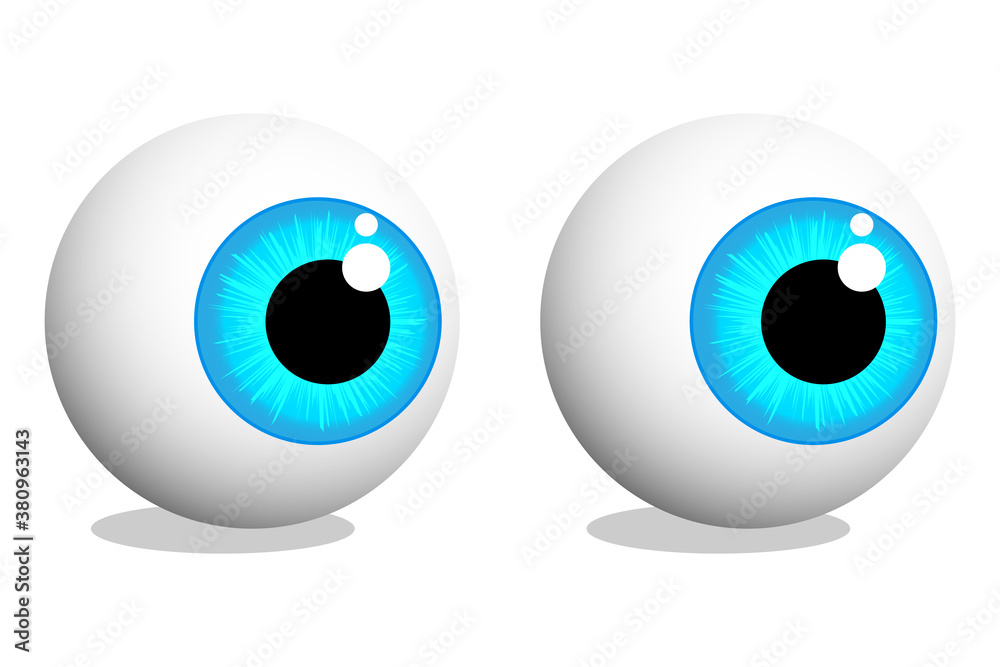 Human eyeballs Blue eyes Illustration Vector Human eyeballs Blue eyes Illustration Vector