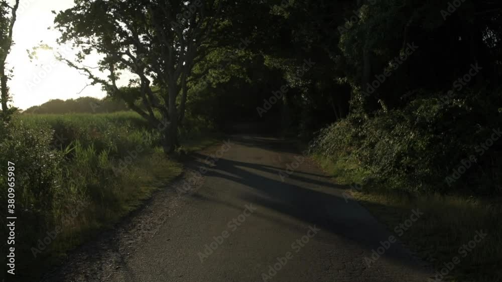 Sunrise poking out from behind a tree in Hengistbury in Dorset whilst walking along a path Sunrise poking out from behind a tree in Hengistbury in Dorset whilst walking along a path