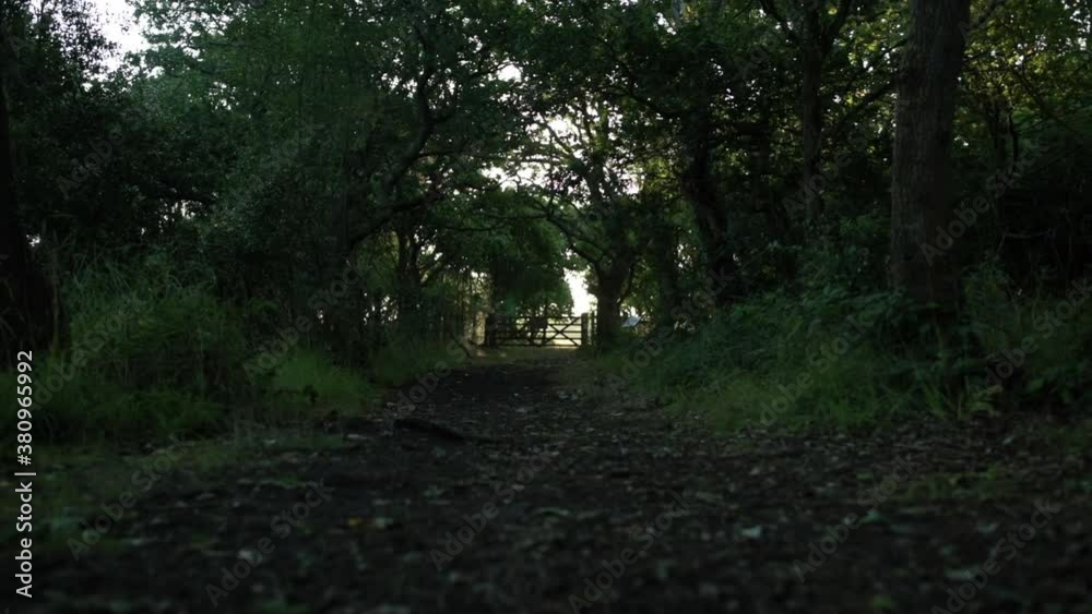 Walking towards a farm gate in the shade with beautiful sun rays in the background Walking towards a farm gate in the shade with beautiful sun rays in the background