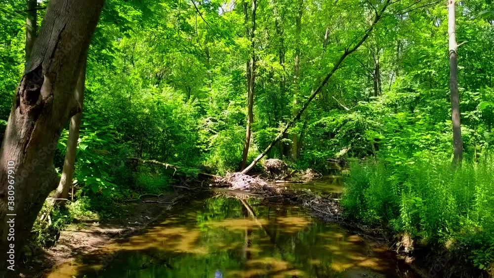 Flying through a gentle creek in Michigan Flying through a gentle creek in Michigan