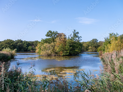 Landscape of Epping forest lake