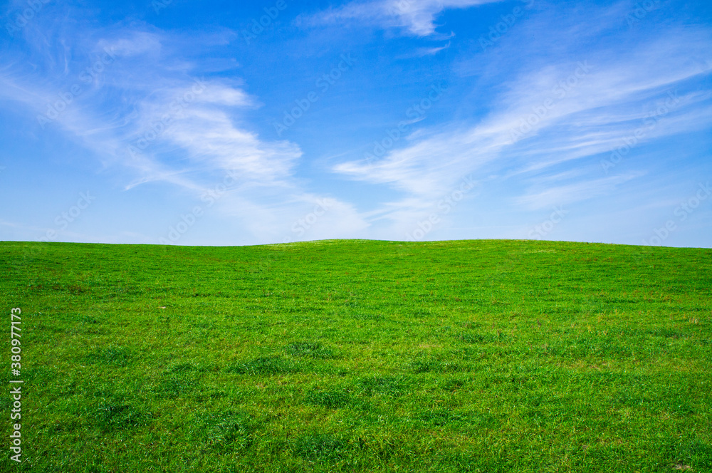 Beautiful summer bright green meadow and field with blue sky. Empty landscape Beautiful summer bright green meadow and field with blue sky. Empty landscape