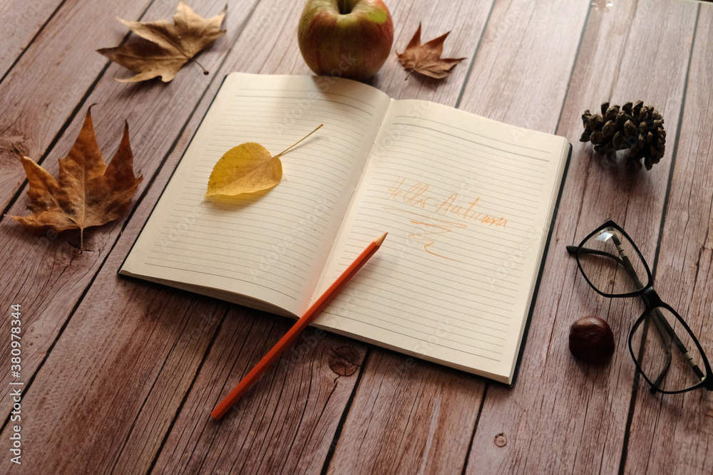 notebook and leaves and autumn still life