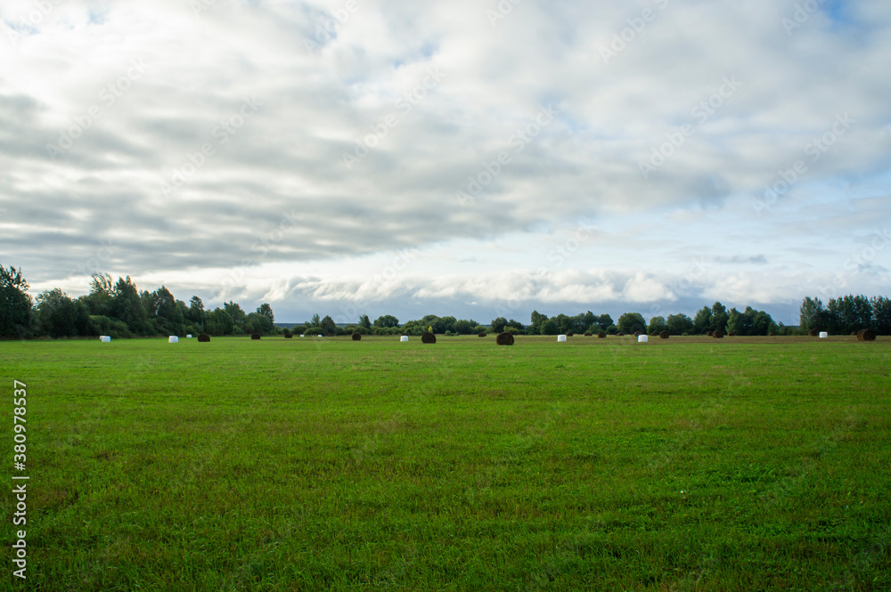 Fototapeta premium Nice view of the field with haystacks in sustainable packaging