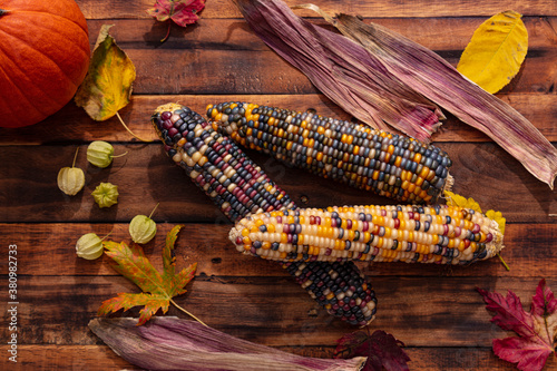 Fotografia Native American Corn on a Wooden Background