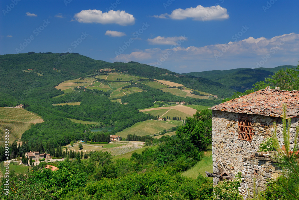 View of vineyards and ancient hillside house from Radda in Chianti Italy