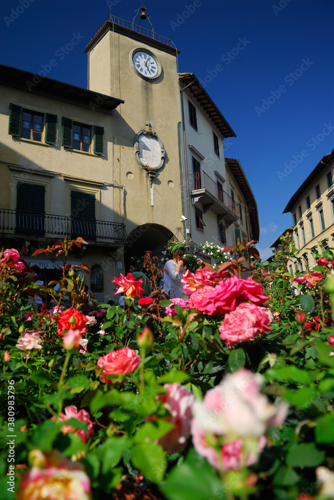 Rose Festival Piazza Pierozzi in San Casciano in Val di Pesa Tuscany Italy Rose Festival Piazza Pierozzi in San Casciano in Val di Pesa Tuscany Italy