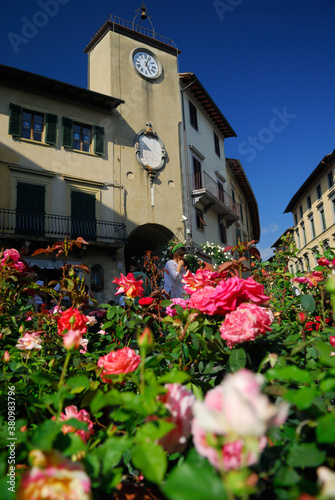Rose Festival Piazza Pierozzi in San Casciano in Val di Pesa Tuscany Italy
