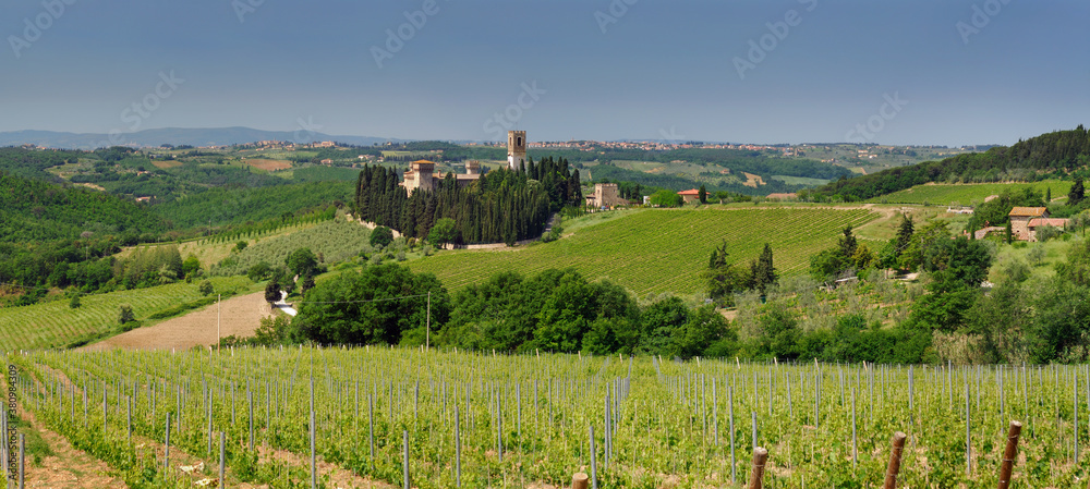 Panorama of vineyards around Badia a Passignano in Chianti Tuscany Italy Panorama of vineyards around Badia a Passignano in Chianti Tuscany Italy