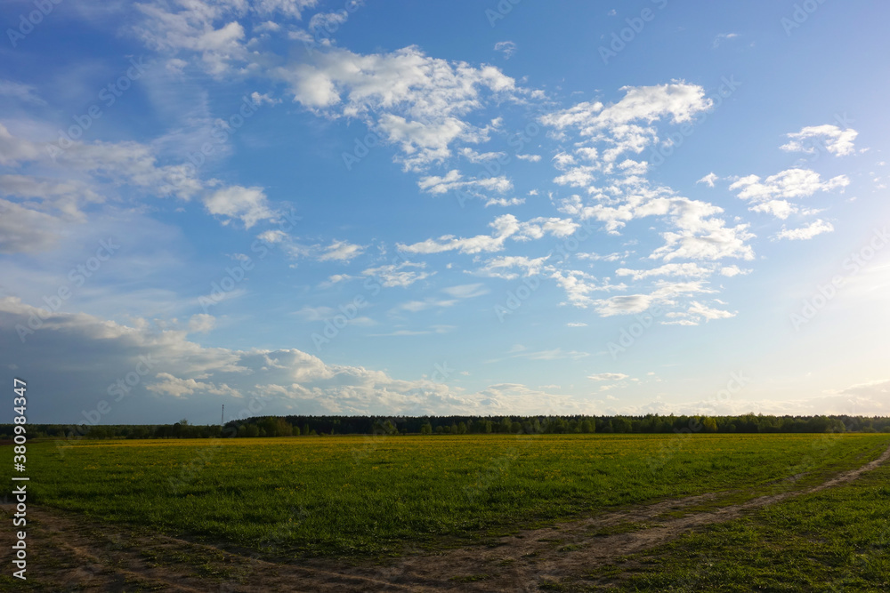 Green field,blue sky and sun.