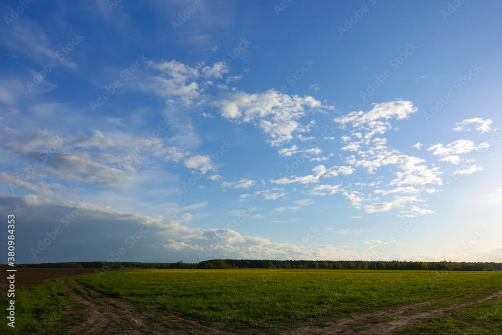 Green field,blue sky and sun.