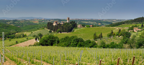 Panorama of vineyards around Badia a Passignano in Chianti Tuscany Italy photo