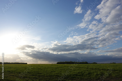 Green field,blue sky and sun.